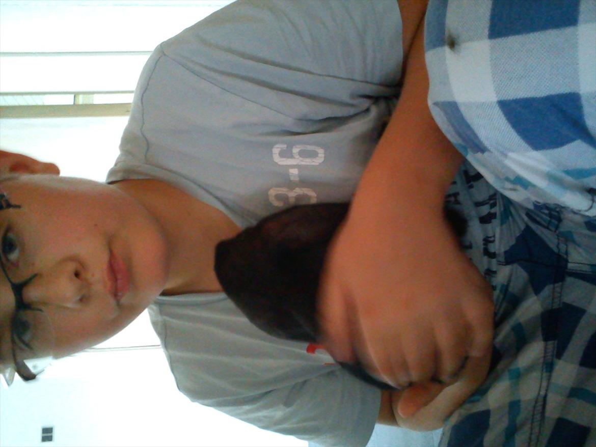 Kanin beauty my superwomen billede 10