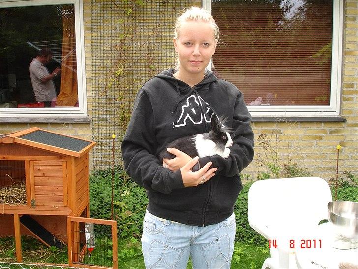 Kanin Melody billede 14