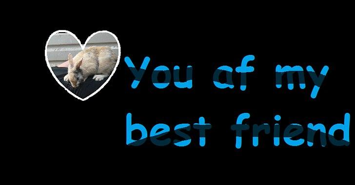 Kanin Doffy<3 (DØD) :'( billede 4