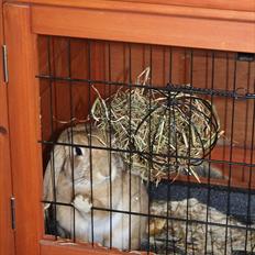 Kanin Beauty Princess | The One<3