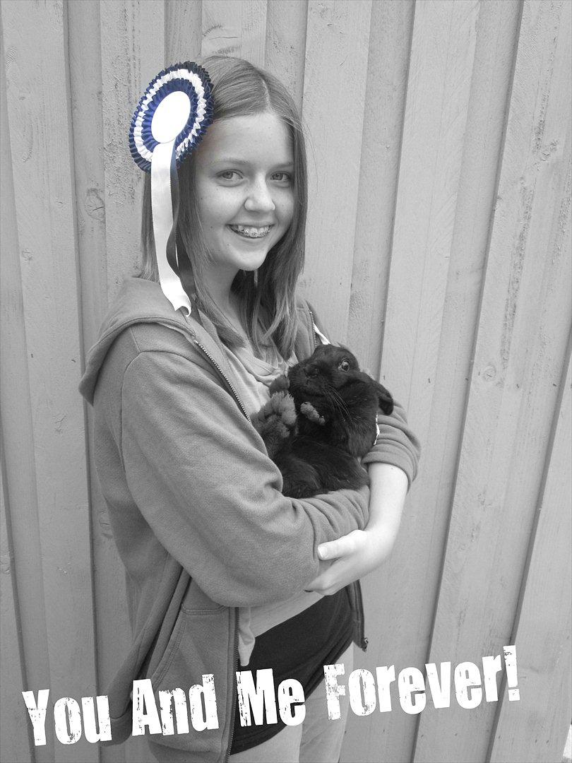 Kanin Clausen's Kiwi billede 13