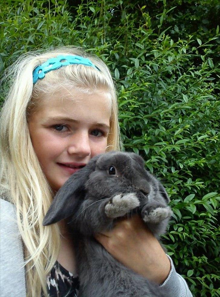 Kanin Senius Seni Seniritó billede 13