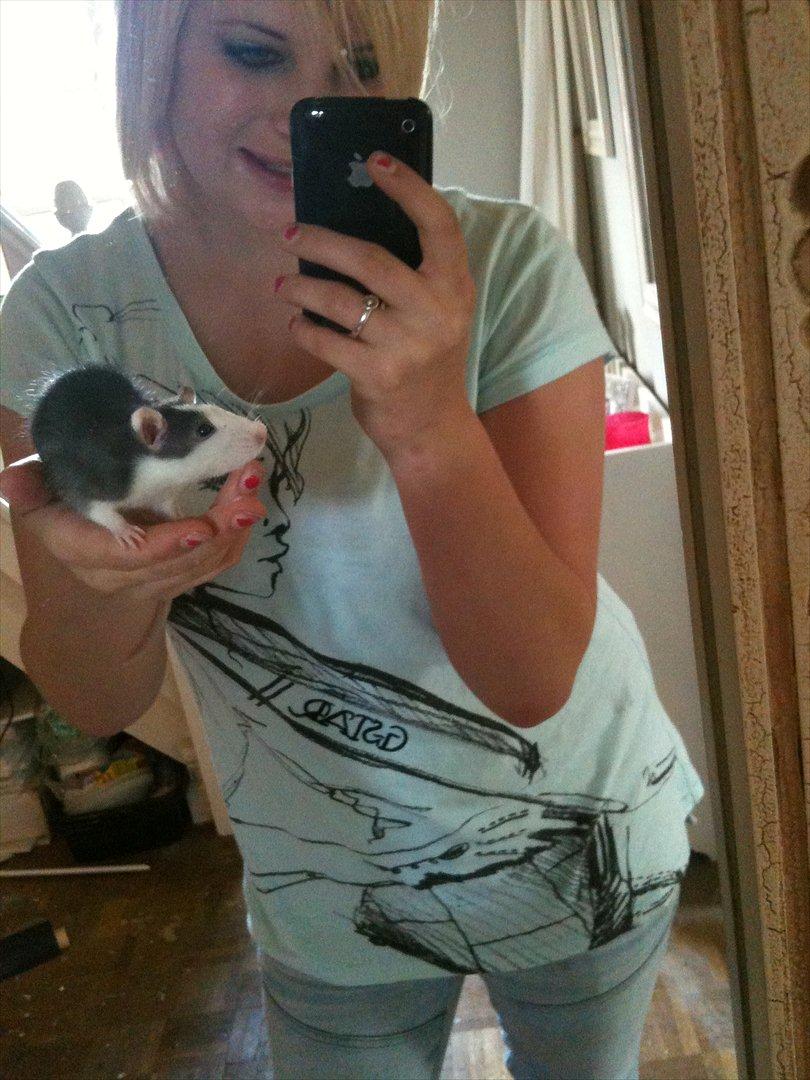 Tamrotte Luna billede 15