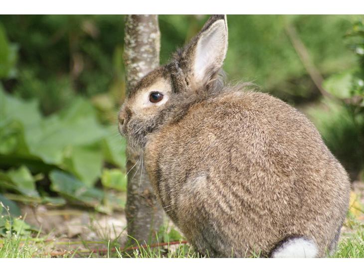 {{currentPhoto.altText}} billede {{currentPhoto.number}}