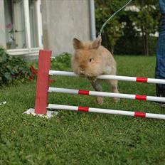 Kanin Bailey my Dream<3