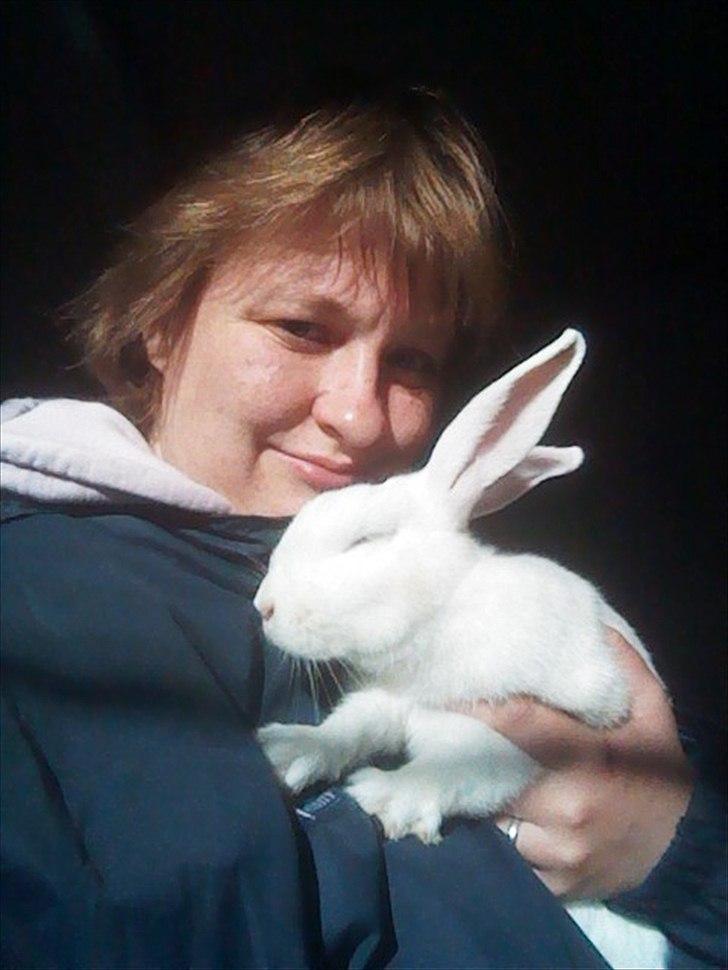 Kanin Snehvide billede 4