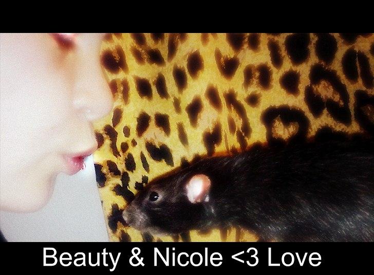 Tamrotte Beauty<3 billede 8