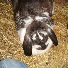 Kanin Milkyway R.I.P. :,(