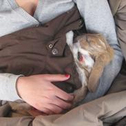 Kanin Boysen ( Boys <3) - mit et & alt <3 