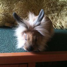 Kanin Hopnin's~Freaky Malbina<3