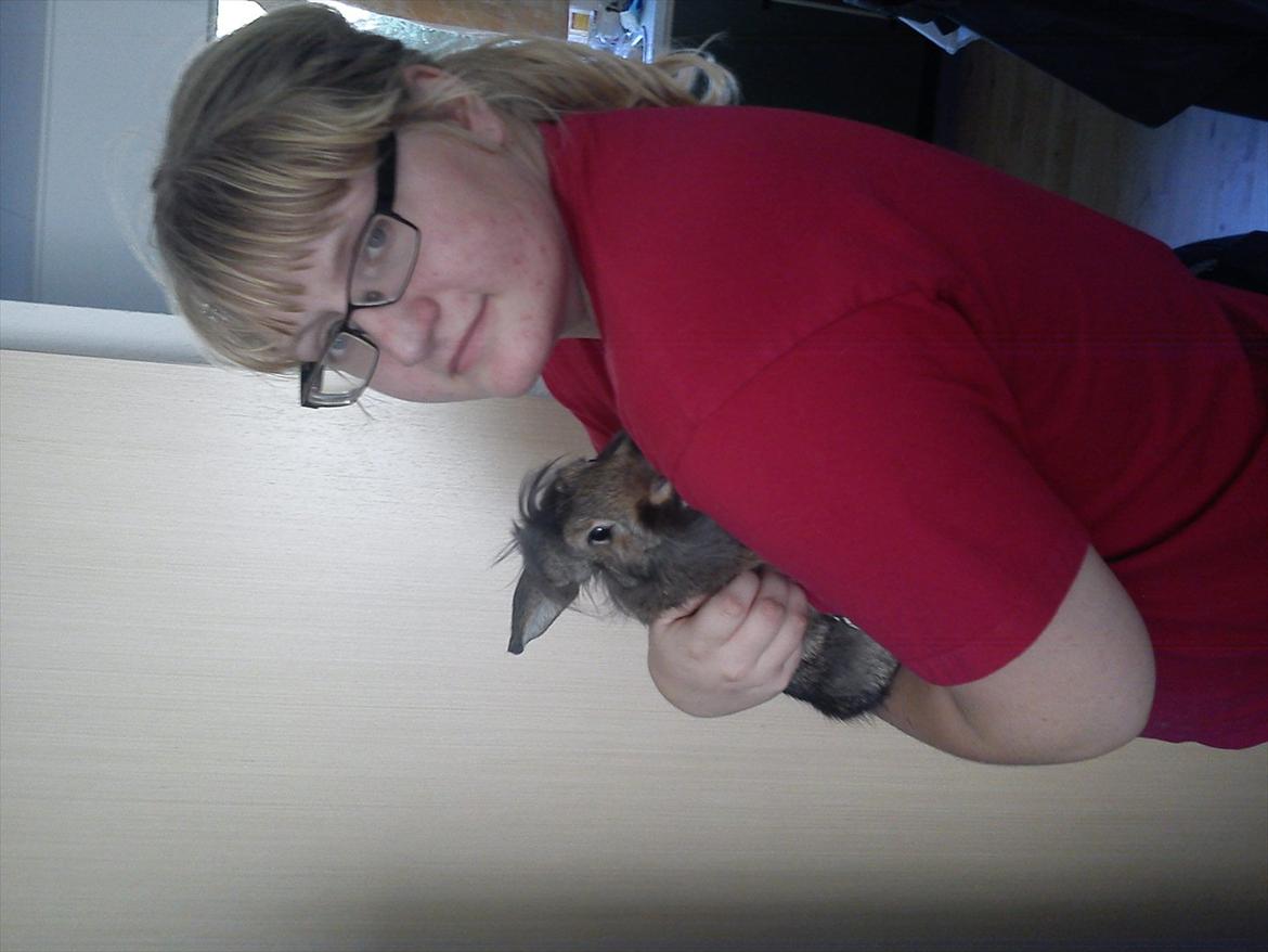 Kanin Ninus - Velkommen til Ninus,s profil  billede 1