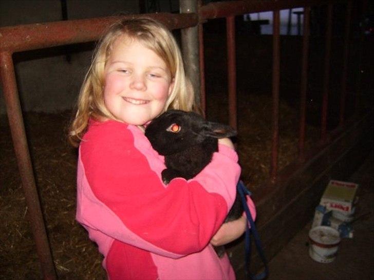 Kanin Bølle  - lidt grimt billede, men jeg var glad for ham  siden jeg var lille! (':  billede 4