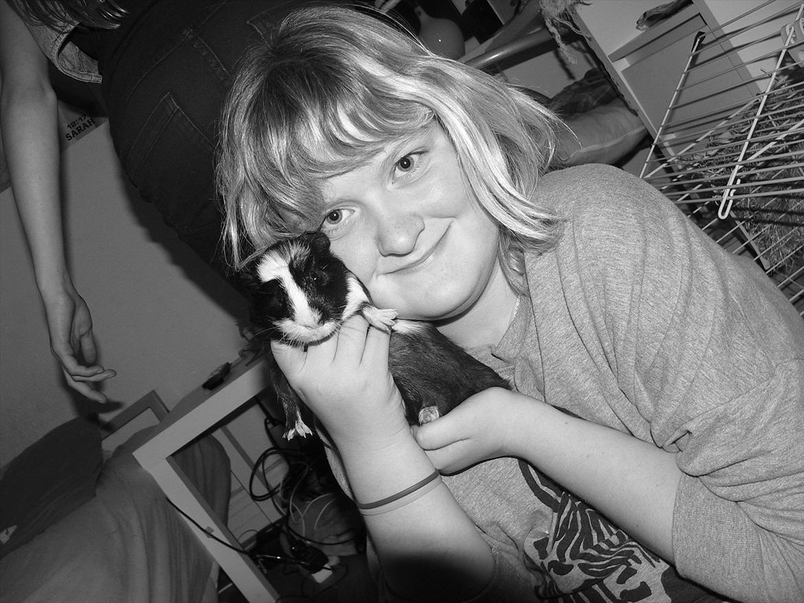 Marsvin Nuller<3 billede 9