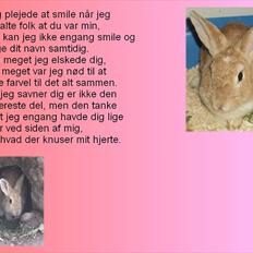 Kanin Noname<3*SAVNET*