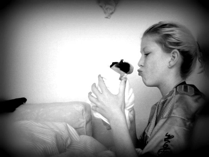 Marsvin Baby / Øffe - Man kan ikke se baby så meget, men vi er da stadig dejlige? ;D billede 6