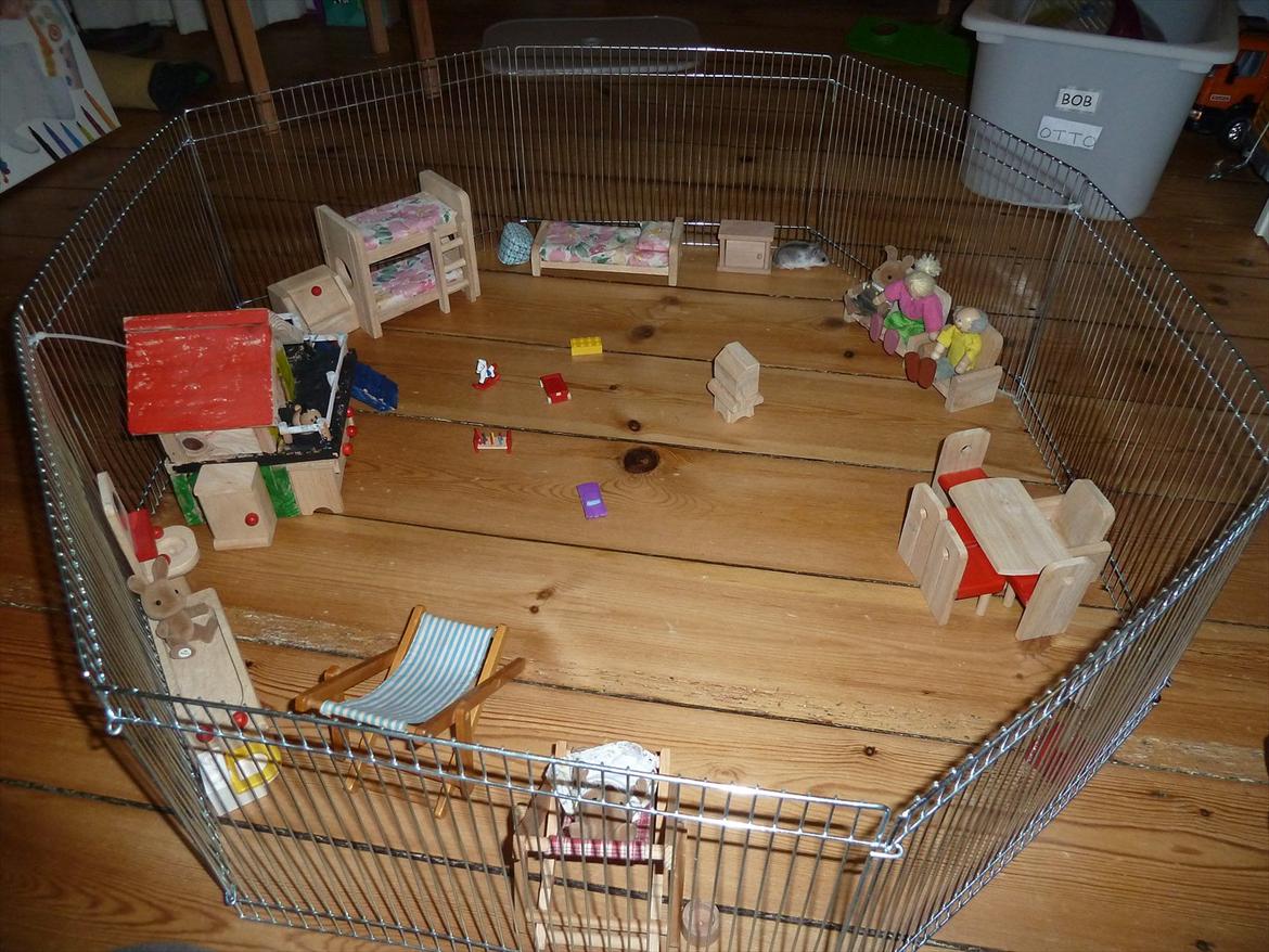 Hamster Ying Ming, I daglig tale Otto R.I.P 18/5-14 - Otto på opdagelse i legepladsen for første gang. billede 12