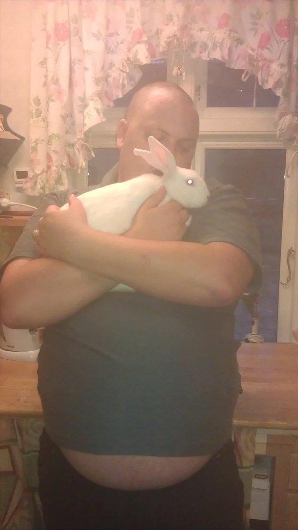 Kanin Snehvide billede 10