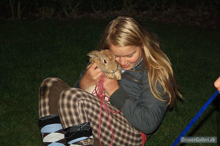 Kanin Beauty Princess | The One<3 - Velkommen til Beauty Princess Profil :D
MMB|Foto

Fordi jeg elsker dig prinsesse :*<3 billede 1