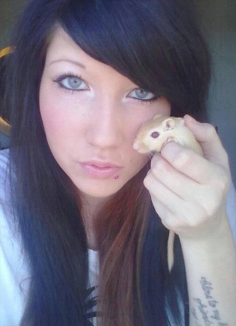 Ørkenrotte Guldlok (R.I.P) - Guldlok og jeg. billede 8