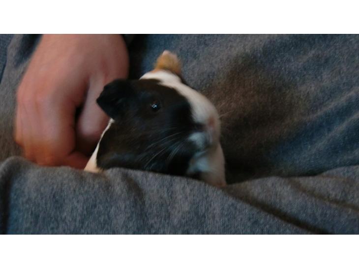 {{currentPhoto.altText}} billede {{currentPhoto.number}}