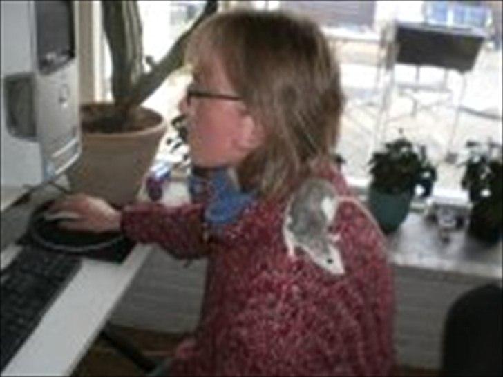 Tamrotte Billie Jerry Joe billede 10