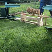 Kanin Bejlegaard´s Snuske <3