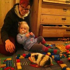 Marsvin Posidon Von Sortfod