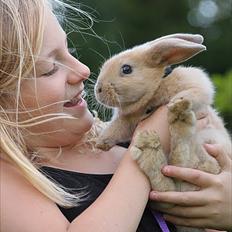 Kanin Zachos Kaza Lav Dizzmo