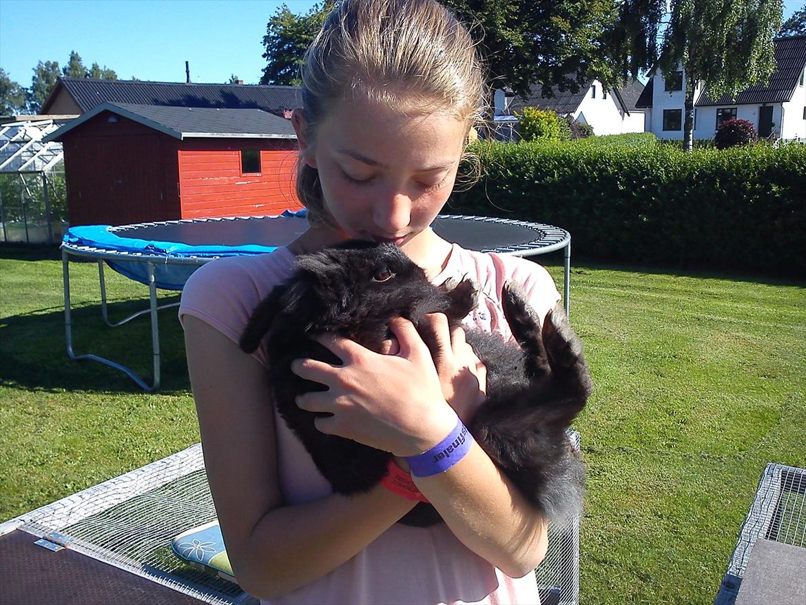 Kanin Fjumse - Min bedste ven †R.I.P.† - - Jeg har lært at 1 døgn er 24 timer, 1 time er 60 min, 1 minut er 60 sek.... Men ingen fortalte mig at hvert sekundt uden dig er en evighed!♥ billede 16