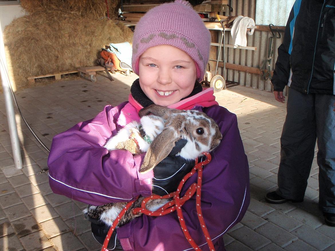 Kanin Kastaniegårds Kanina - Min søde kusine Mathilde med Kanina billede 17