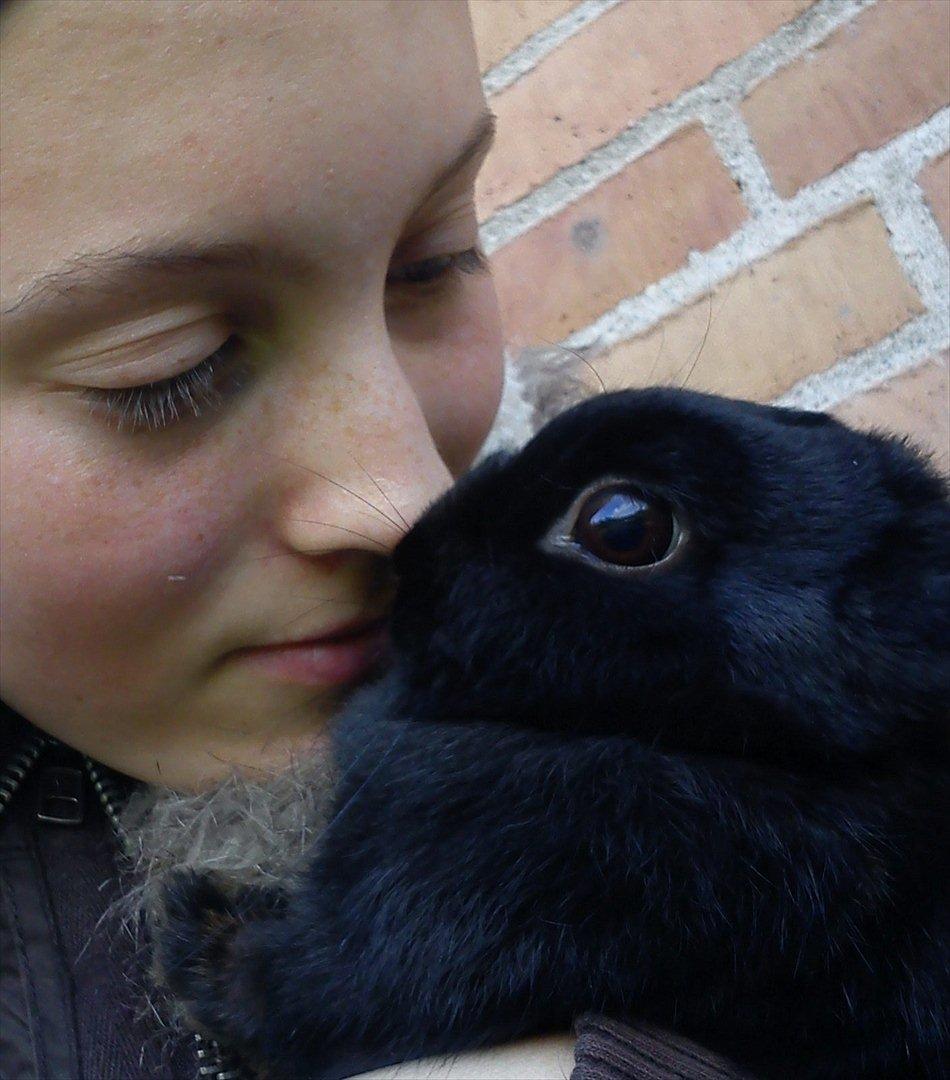 Kanin Hermelingårdens Barry*R.I.P* - Together forever,
Never apart,
Maybe in distance,
But never in heart. billede 2