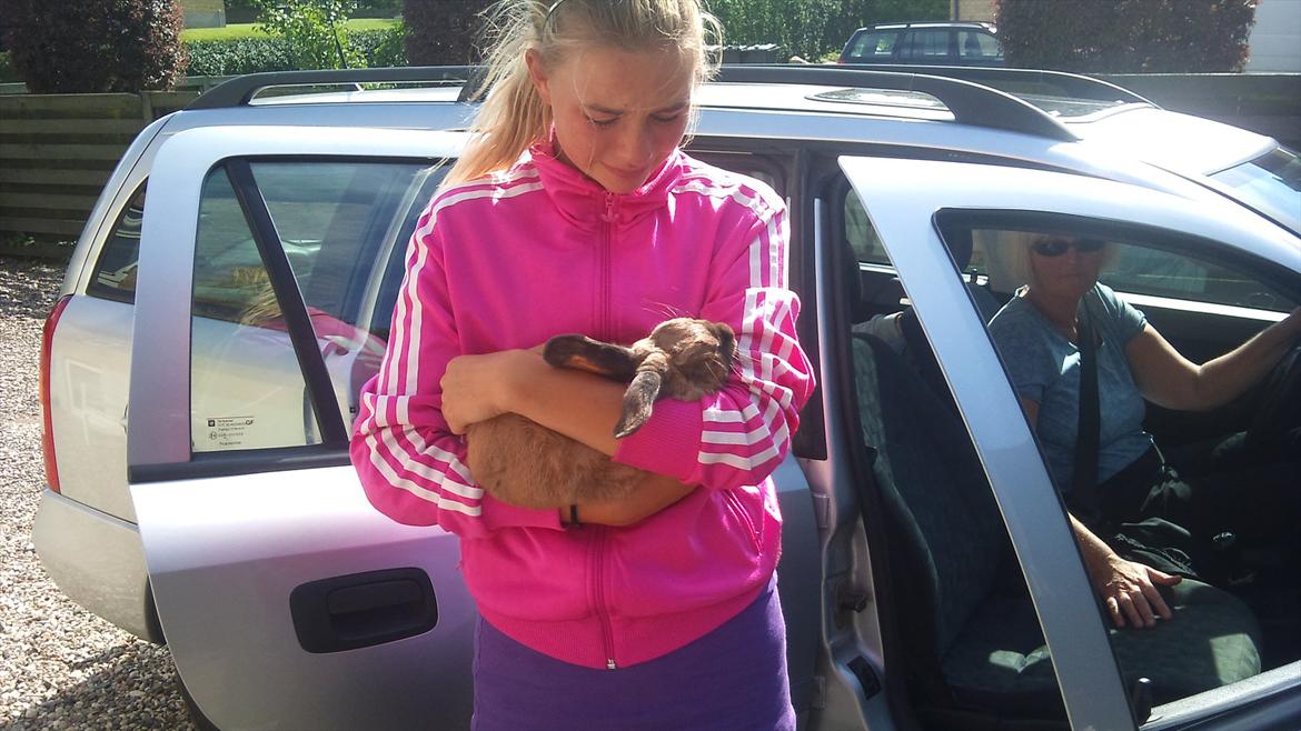 Kanin mads - på vej ud til dyrlægen :( sidste billed af dig og mig sammen :( jeg savner dig! billede 15