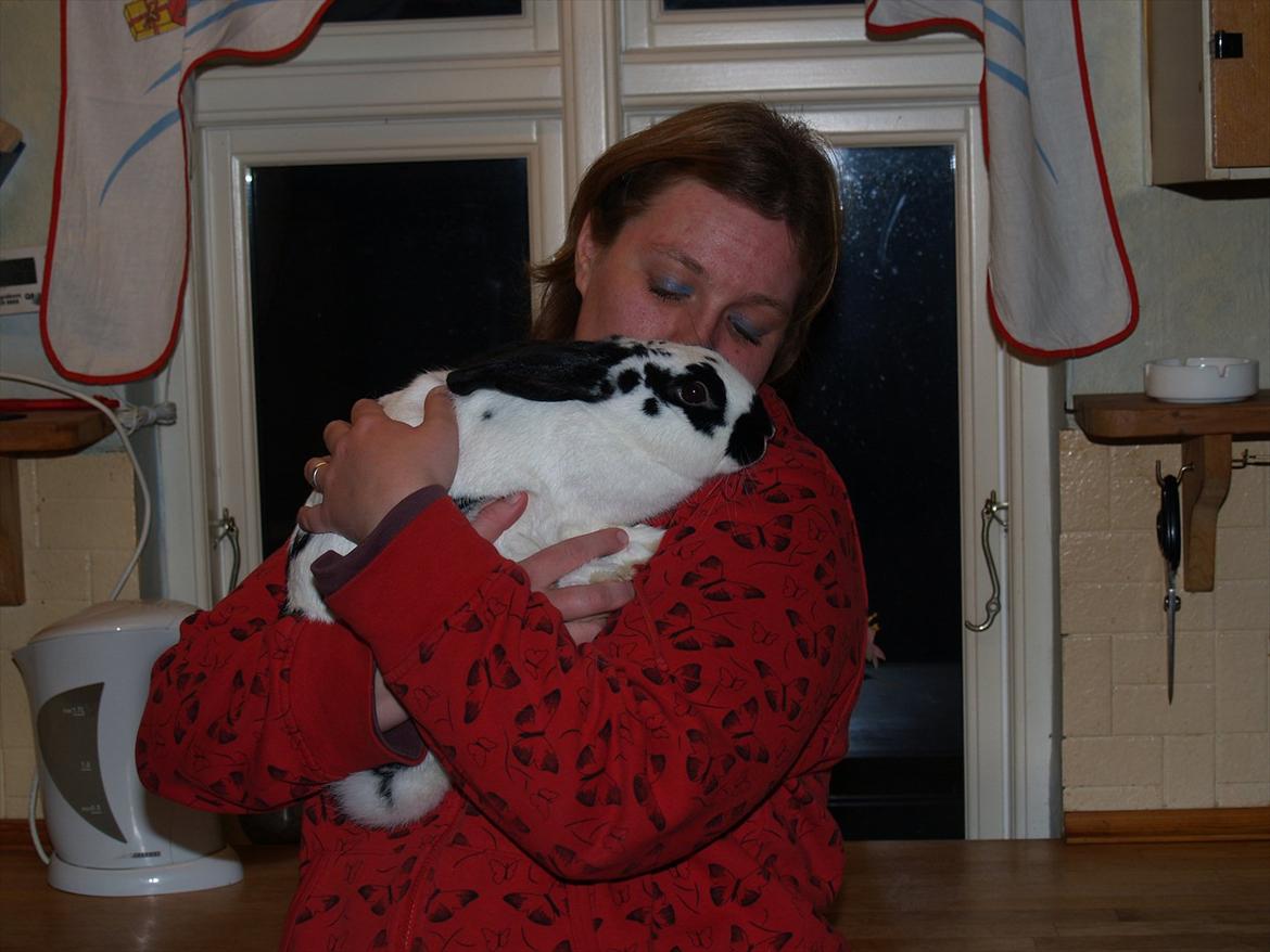 Kanin Nadia 2 - mig oh min mor er vi ikke bare søde vi er bare glade for hinnde  billede 13