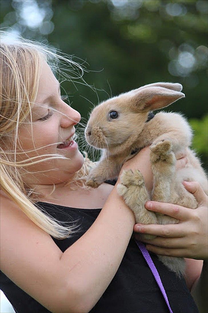Kanin Zachos Kaza Lav Dizzmo - Mig og Kaza.  billede 1