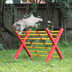 Kanin Funnys Be My Superstar