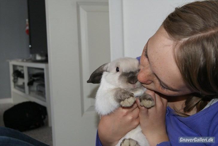 Kanin |DV| Vin Diesel *Vinse* - I<3Y billede 4