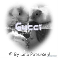 Kanin Gucci