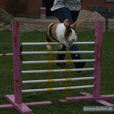 Kanin Beders Tropic Thunder