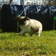 Kanin El Ninõ ! *: { R.I.P :'( 