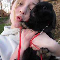 Kanin Rosendal's Totti