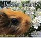 Marsvin Nuser RIP [Himmelgnaver]