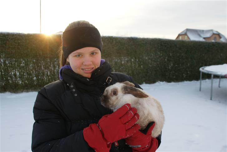 Kanin Venus<3 - Mig og Werner :) billede 19