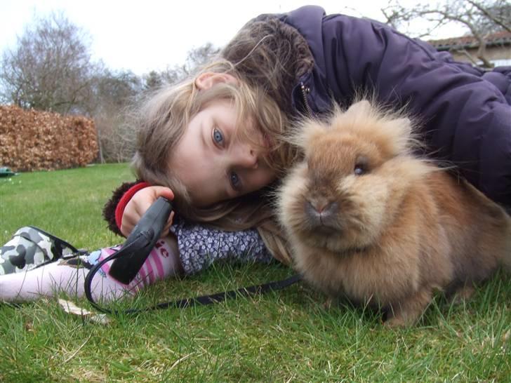 Kanin Candy billede 2