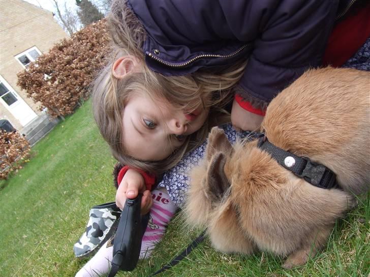 Kanin Candy billede 3