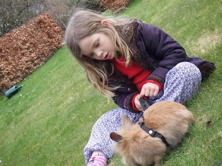 Kanin Candy billede 5