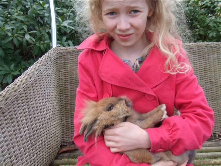 Kanin Candy - mig og candy, undskyld kvaliteten det er min søster på fem der har taget billedet ;) billede 8