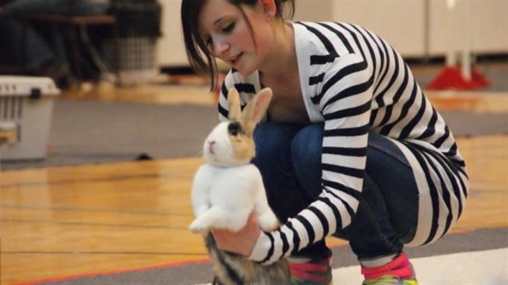Kanin Beders Tropic Thunder - Højde, DM 2010. Fotograf: Emilie Andersen. billede 7