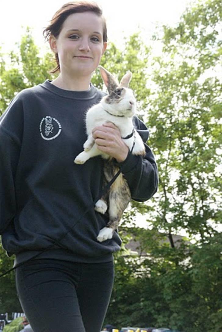 Kanin Beders Tropic Thunder - USM 2010. billede 8