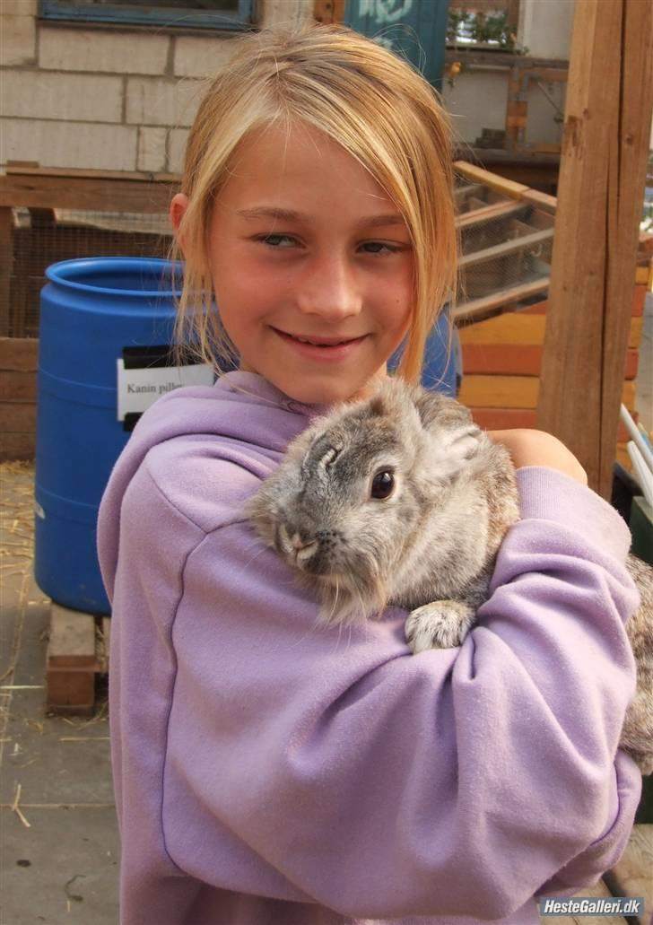 Kanin tøssen - velkommen til tøsen profil  her er den lille guld tøs så billede 1
