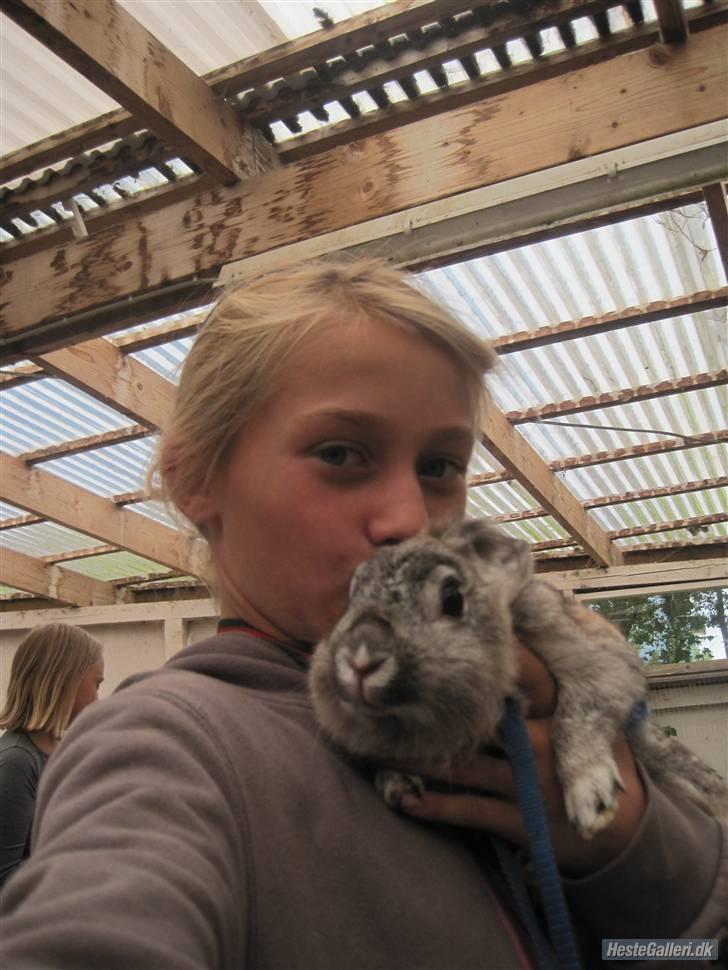 Kanin tøssen - mig og tøsen billede 8